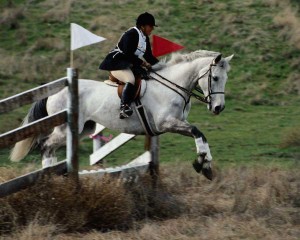 sport equestre