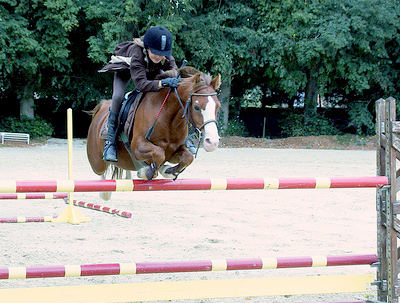 assurance cavalier cheval