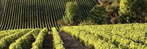 Bourgogne