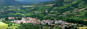 Limousin