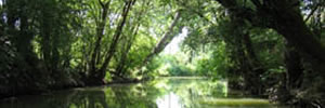 Poitou-Charentes