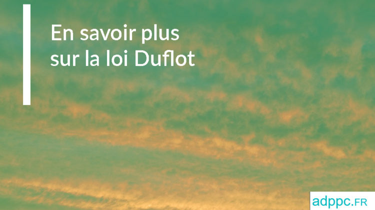 En savoir plus sur la loi Duflot