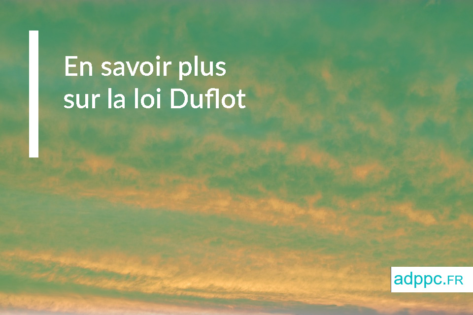 En savoir plus sur la loi Duflot