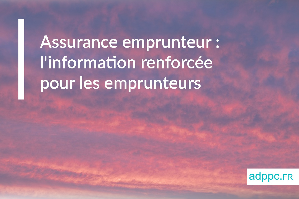 assurance emprunteur immobilier linformation renforcee pour les emprunteurs