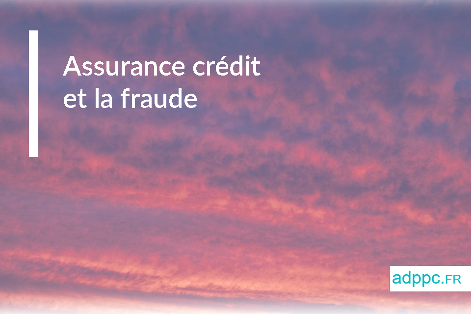 Assurance credit immobilier fraude