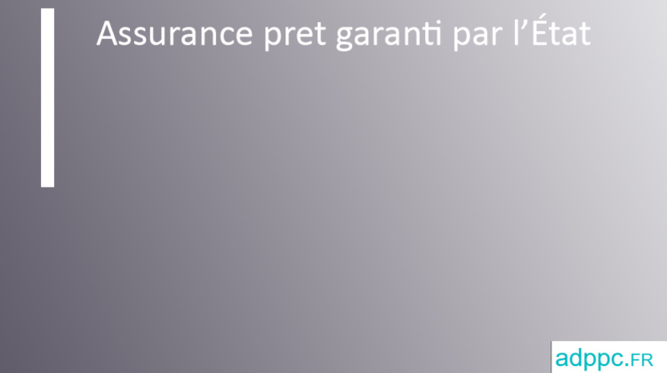 Assurance pret garanti par l’État