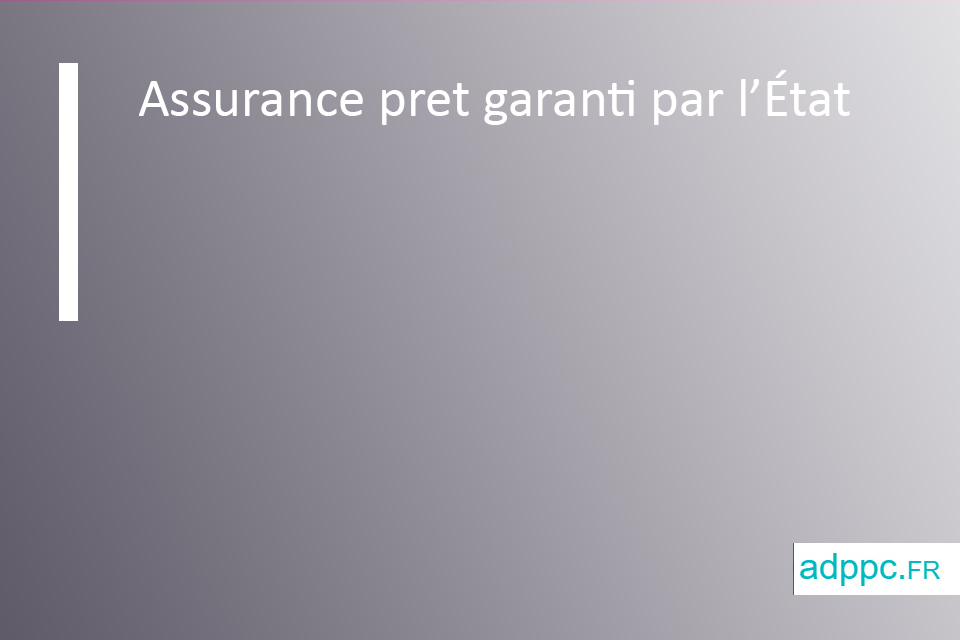 Assurance pret garanti par l’État