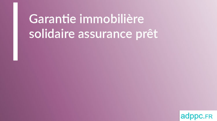 Garantie immobilière solidaire