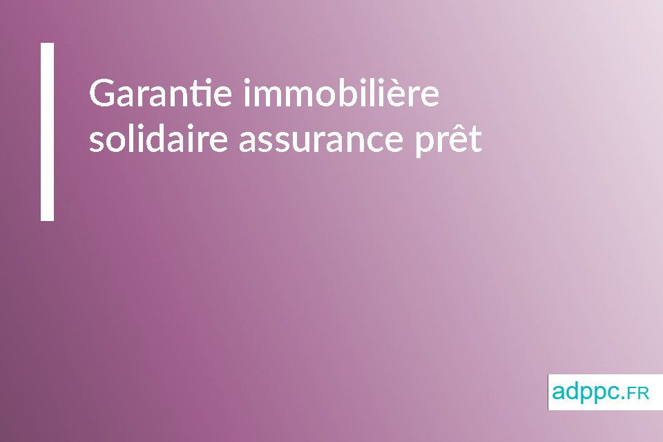 Garantie immobilière solidaire