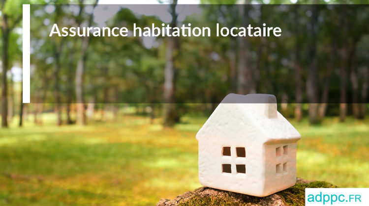 Assurance habitation locataire