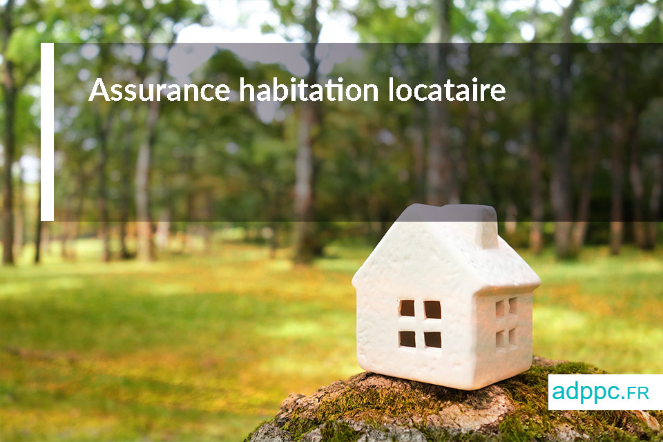 Assurance habitation locataire