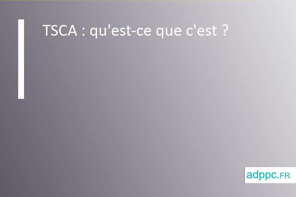 tsca assurance emprunteur